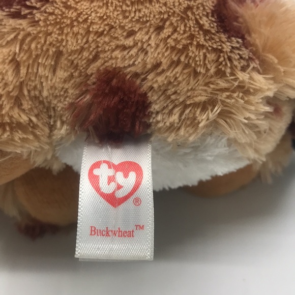 TY Beanie Boo Plush 2015 Buckwheat The Lynx Stuffed Animal No Tag - Picture 7 of 10